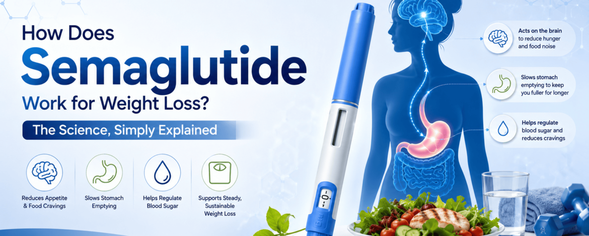 How Does Semaglutide Work for Weight Loss? The Science, Simply Explained